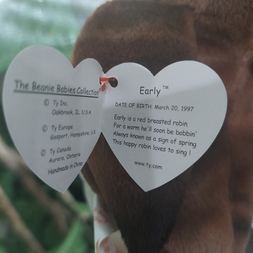 RARE Early the Robin TY Beanie Baby - Collectors find- 1997 - Picture 6 of 11